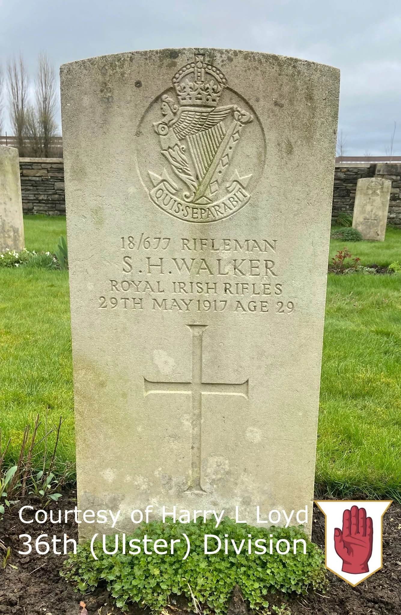 CWGC headstone of Rifleman Samuel Hugh Walker